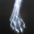 A legmodernebb röntgentechnika Nálunk