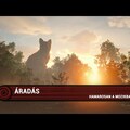 Áradás (6) - magyar előzetes