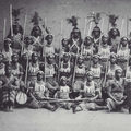 Dahomey amazonjai