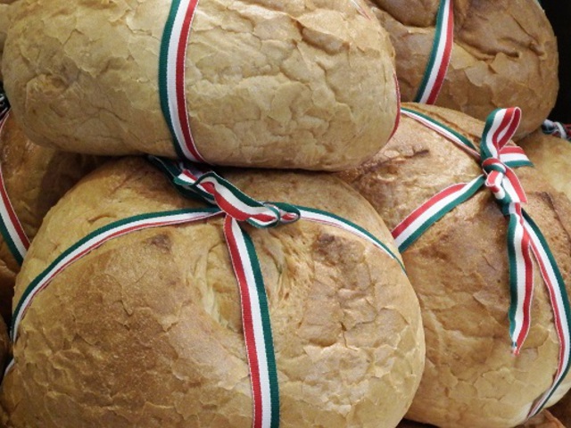 Egyházi vezetőink megáldották, polgármesterünk szeletelte, cserkészeink pedig kínálták az új kenyeret a bicskei katolikus templomban!