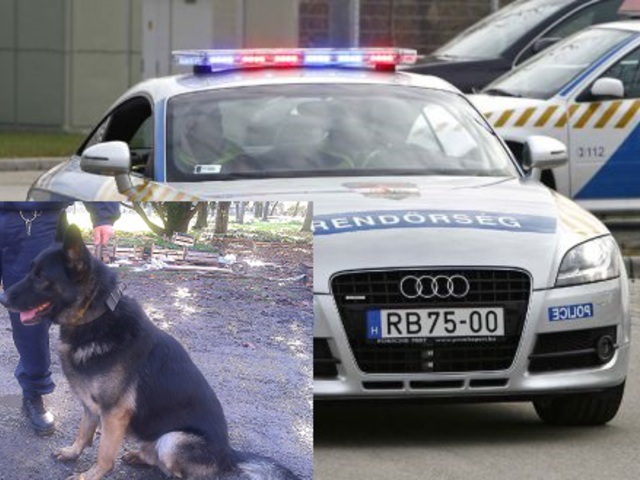 Sokszínű rendőrségi programok augusztus 20-án délután a Bicske Szíve Parkban!