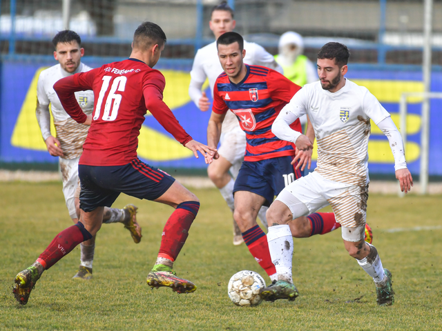 Érdi VSE–Mol Fehérvár FC II. (összefoglaló) 