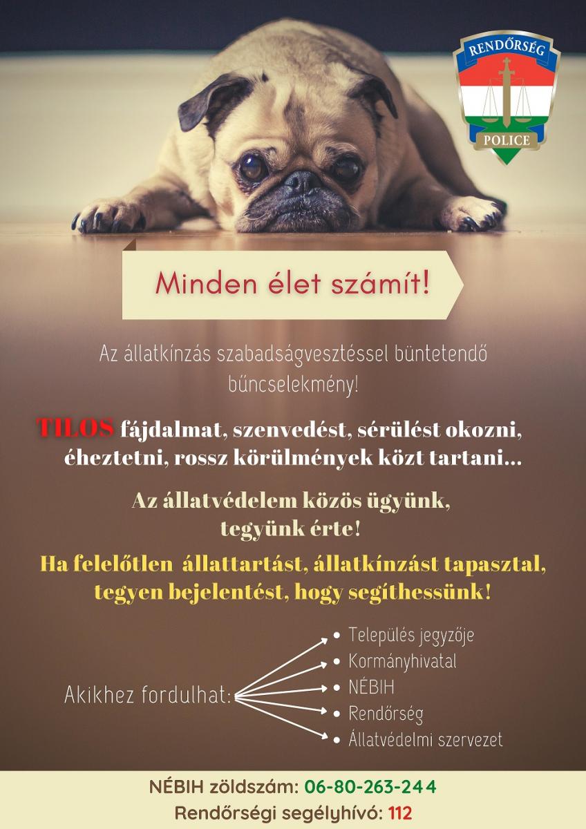 allatkinzas_plakat_2.jpg