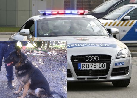 audi_tt.jpg