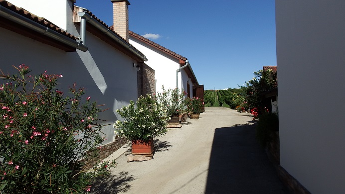 dscf3458.JPG
