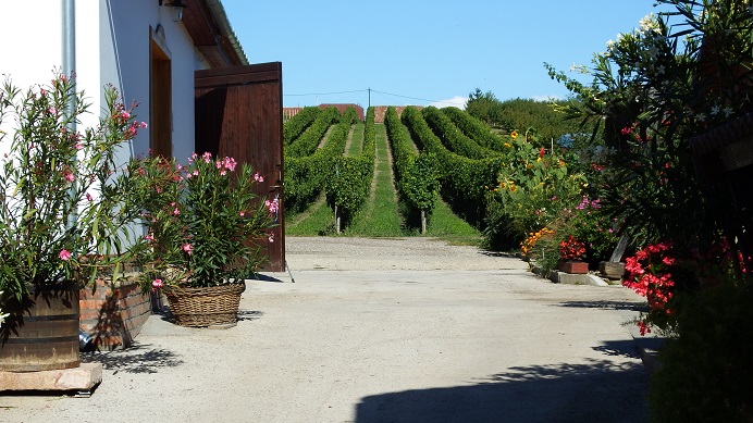 dscf3459.JPG