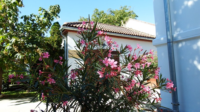 dscf3463.JPG