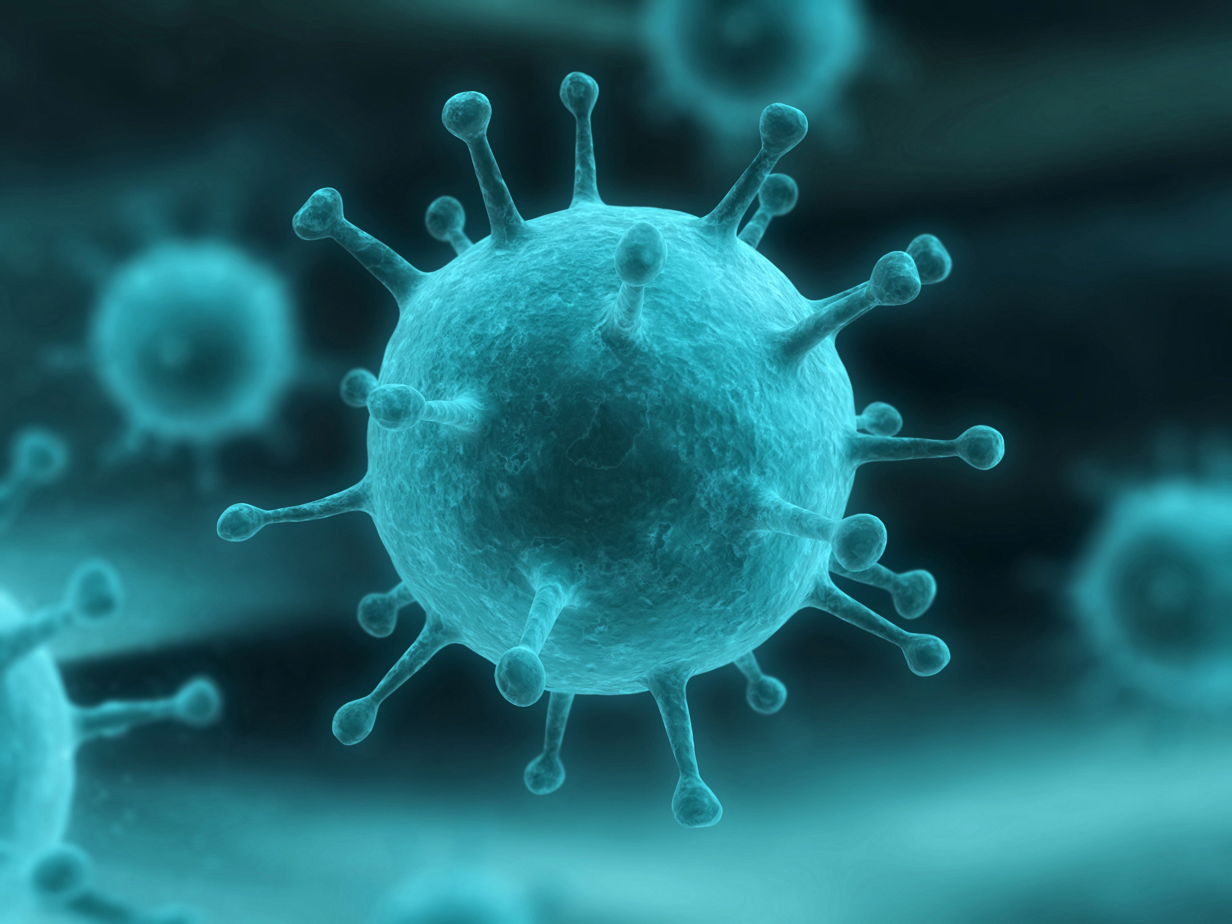 influenza_virus_2008765.jpg
