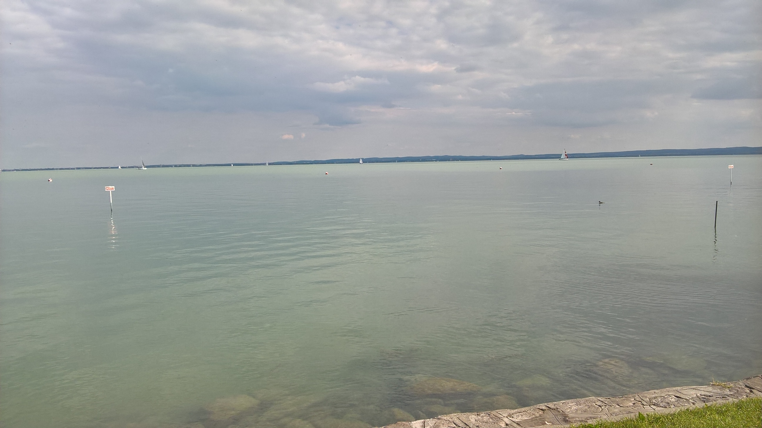 wp_20160812_16_54_55_pro.jpg