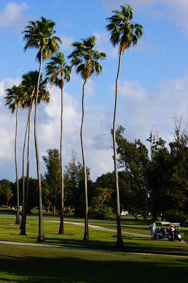 DSC01163_1.JPG
