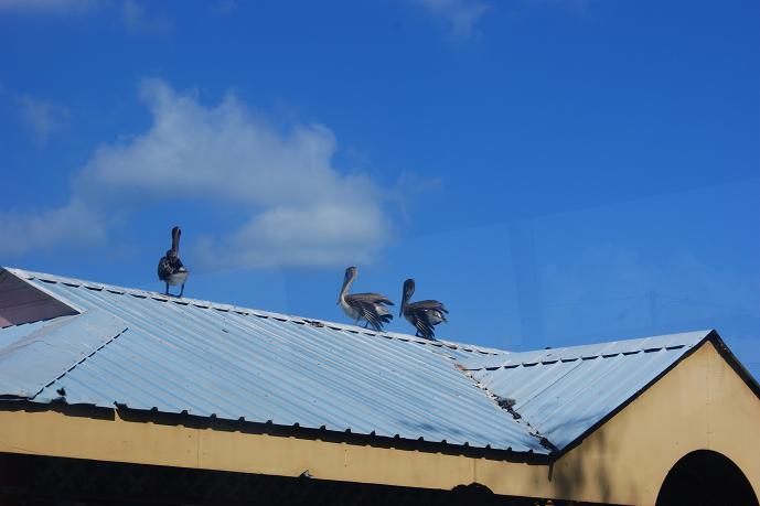 DSC01828.JPG