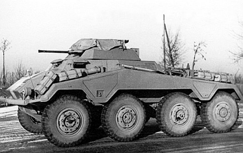 pancfeld_8x8-9b.jpg