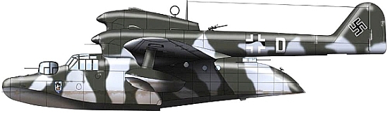 bv138c1.jpg