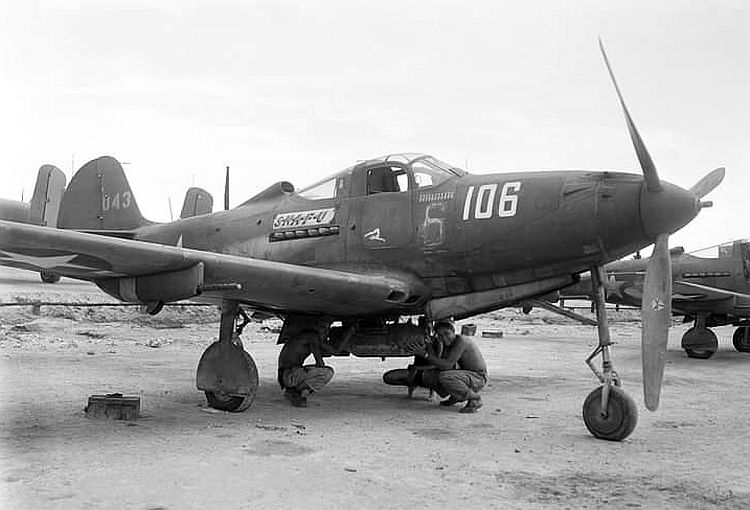 p39-8.jpg