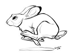 run_rabbit_run.jpg