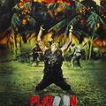 214. A szakasz (Platoon) (1986)