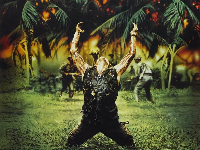 214. A szakasz (Platoon) (1986)