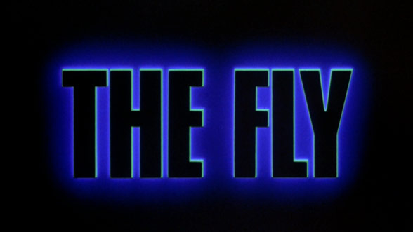 fly_t.jpg