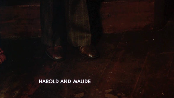 harold_maude_t.jpg