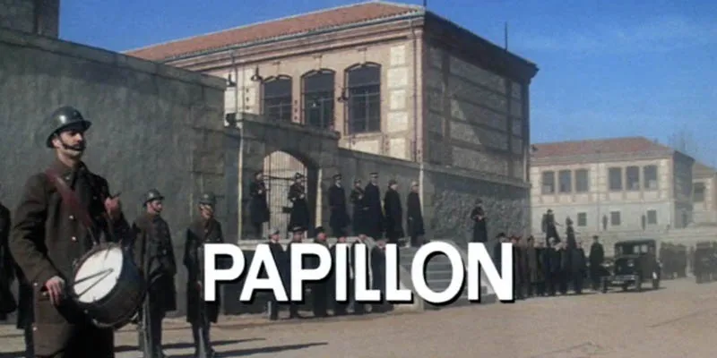 papillon_1.jpg