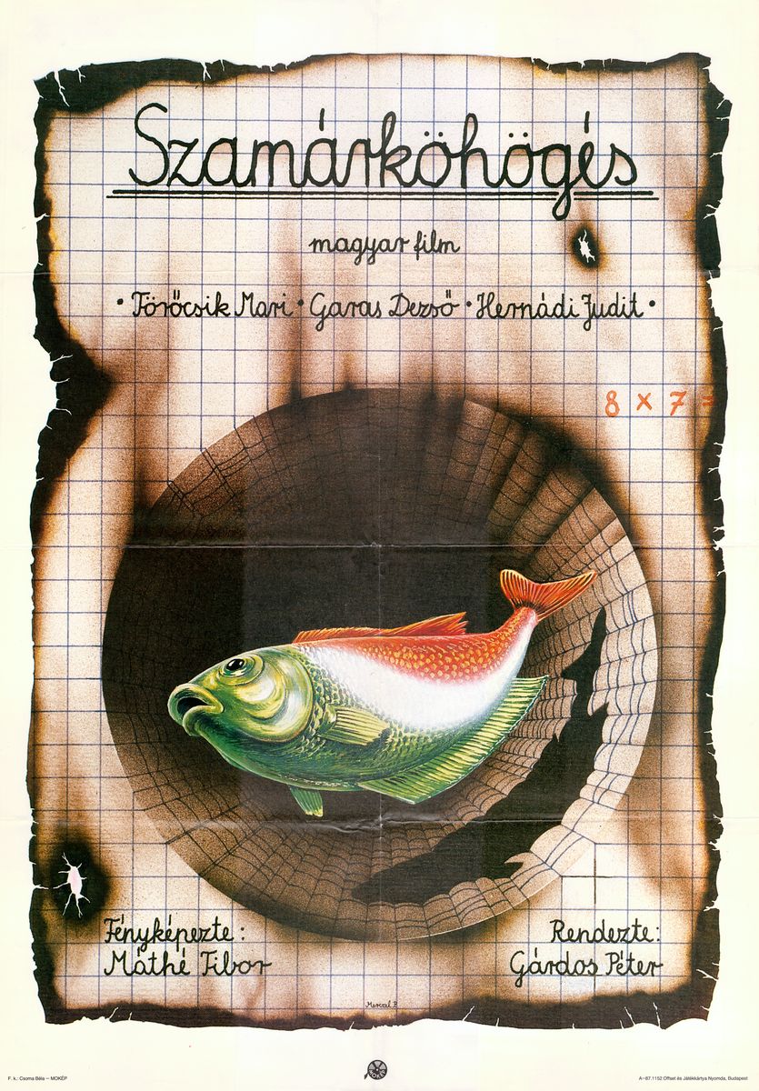 szamarkohoges_merczel_peter.jpg