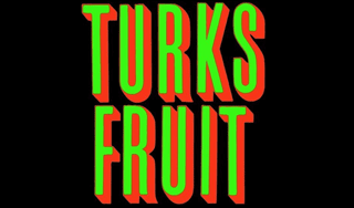 turksfruit.png