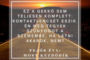 #Day240 - Most kezdődik