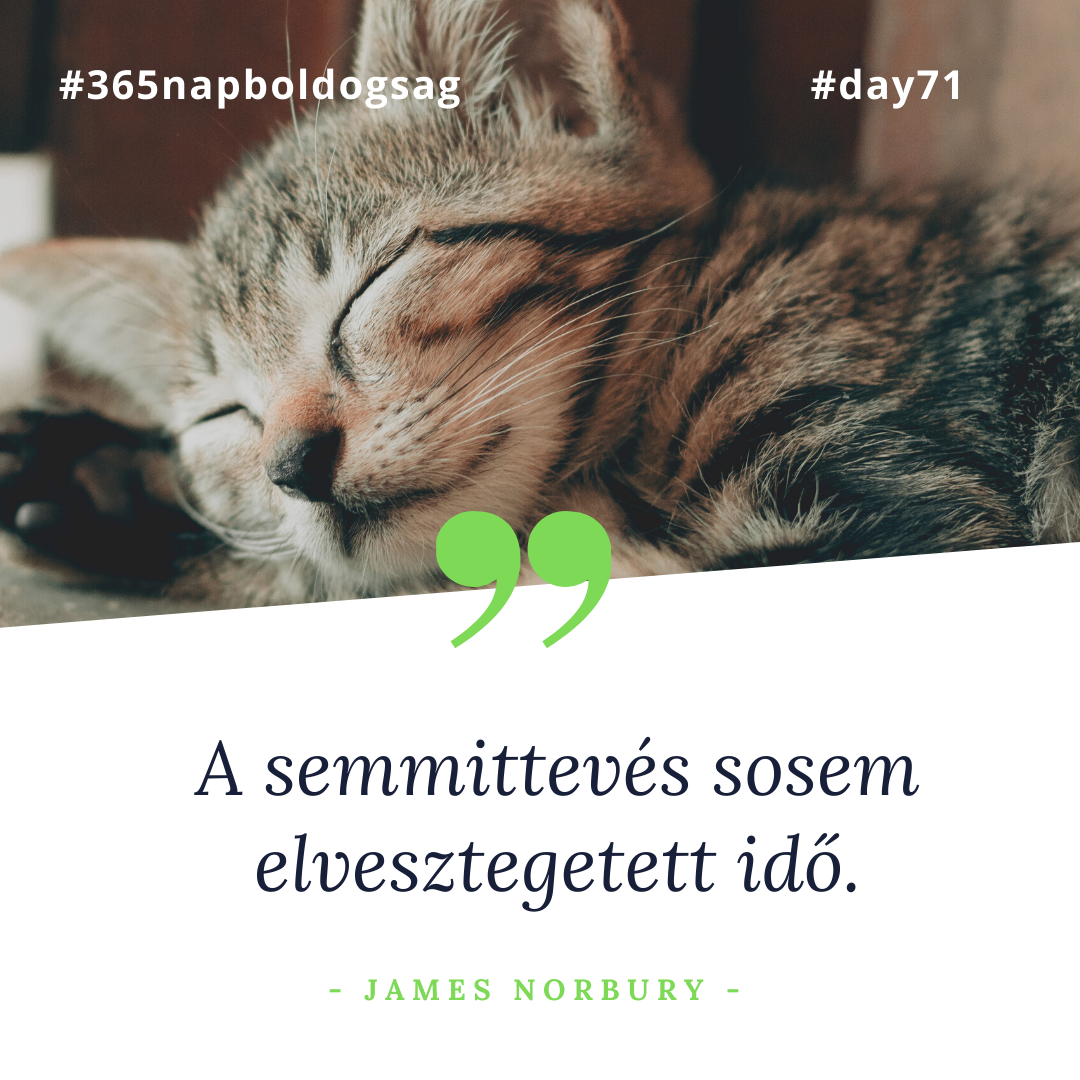 day_71.png