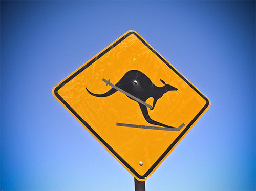 kangaroo-skiing.jpg