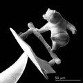 3D nyomtatás a nanovilágban