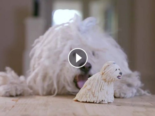 Mark Zuckerberg 3D nyomtatott kutyája
