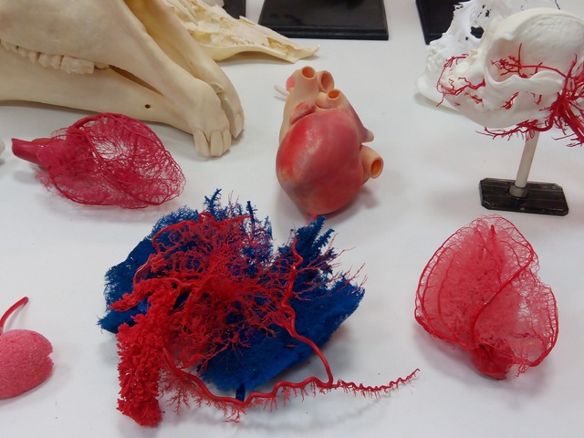 3D nyomtatás az orvoslásban és az oktatásban