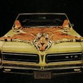 Tigris  - Pontiac GTO 1964 - 1965