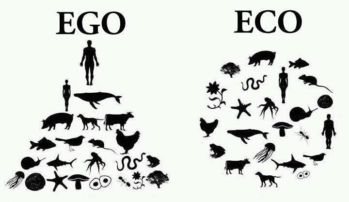 eco-vs-ego.jpg
