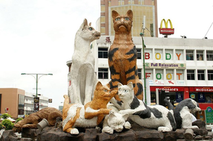 Kuching a macskák városa