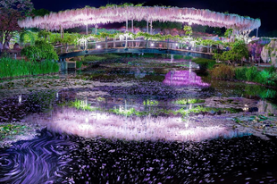 Az Ashikaga-virágpark