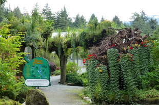 Az Alaszkai Botanikus Gleccser-kert   