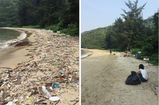 A #Trashtag Challenge a szemétszedős kihívás