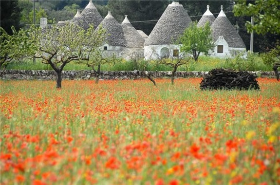 alberobello_3.jpg