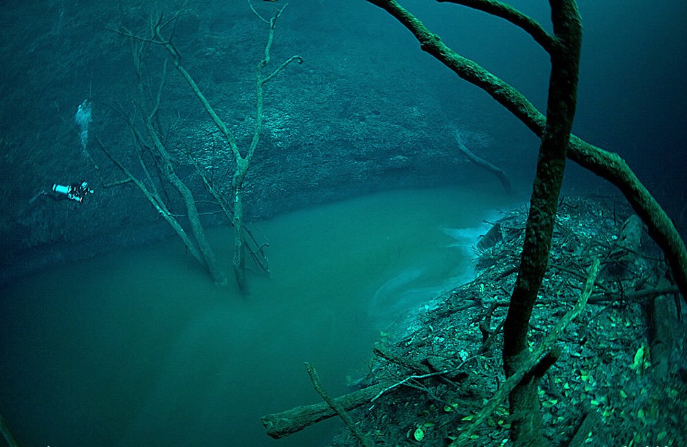 cenote_10.jpg