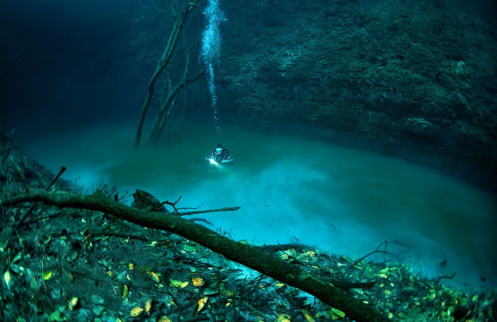 cenote_11.jpg