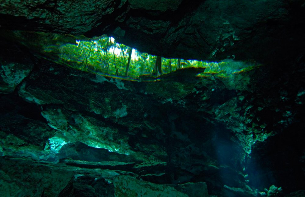 cenote_14.jpg