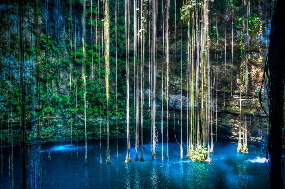 cenote_17.jpg