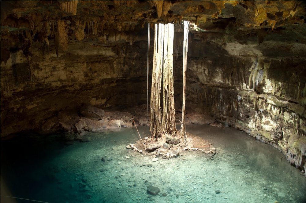 cenote_18.jpg