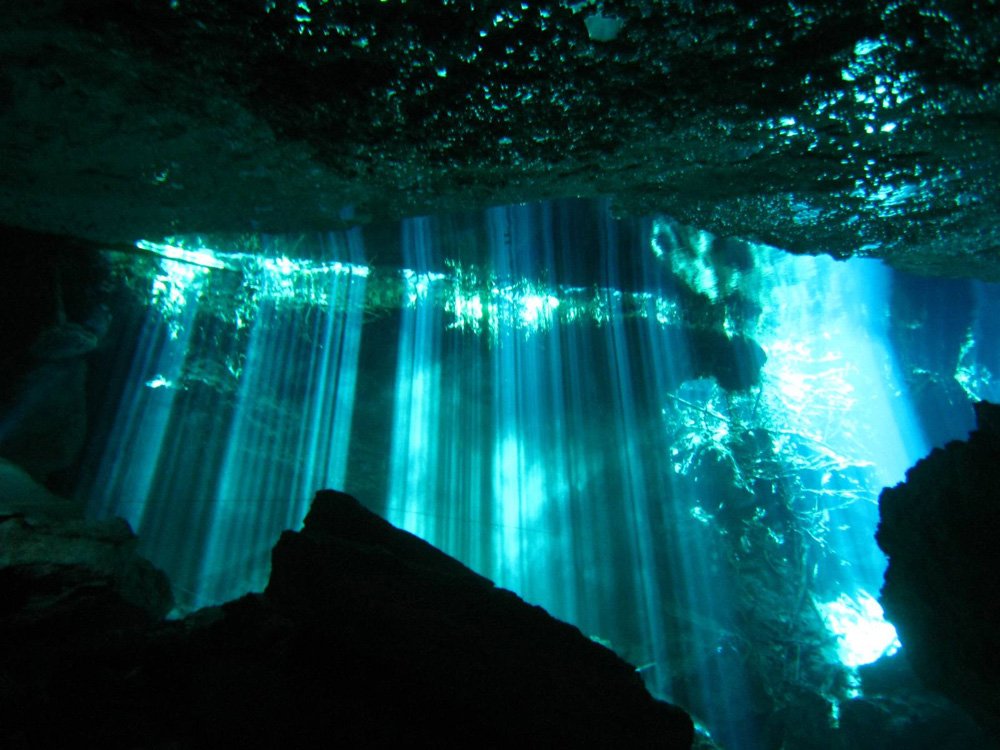 cenote_29.jpg