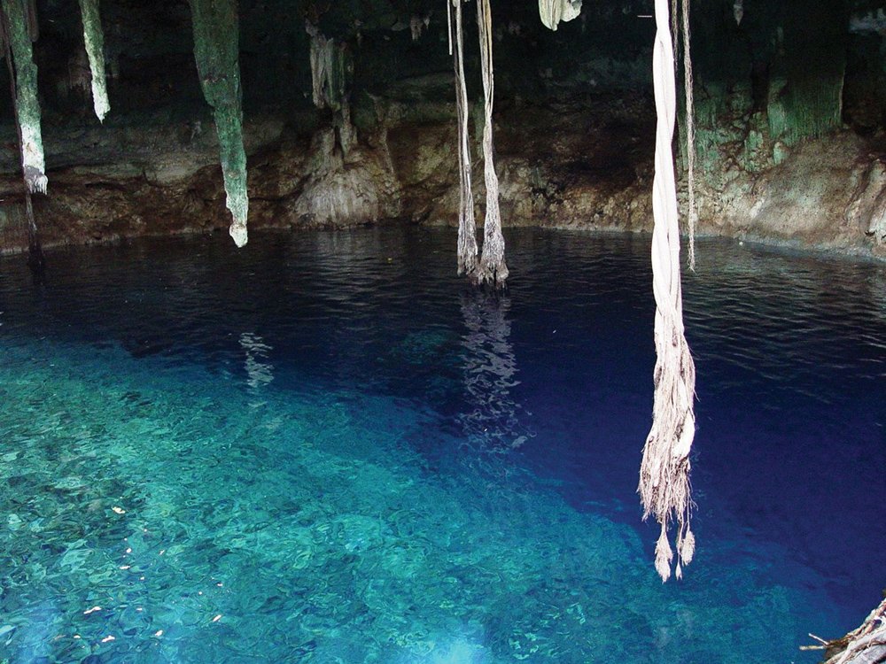 cenote_31.jpg