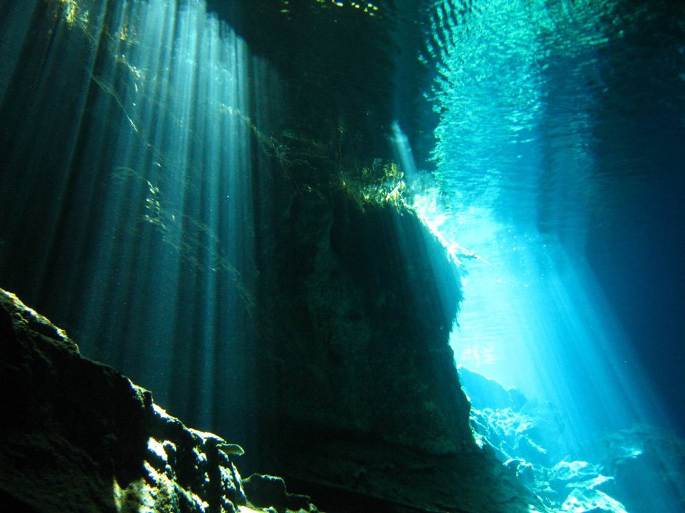 cenote_8.jpg