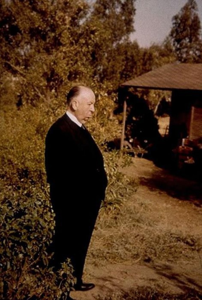 hitchcock_24.jpg