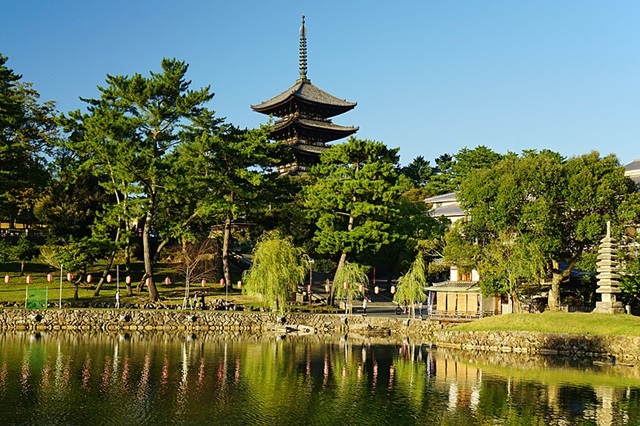 nara_park23.jpg