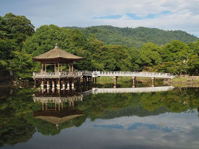 nara_park27.jpg